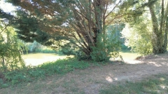 IMG20250627174457.jpg